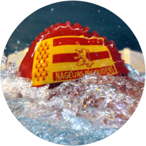 logo les nageurs bigoudens